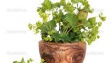 images (2)