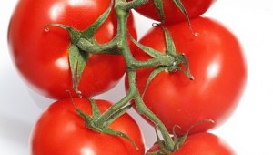tomato-473764_640