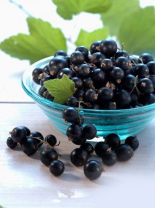 black-currant-224x300