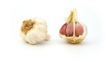 garlic-1808_640